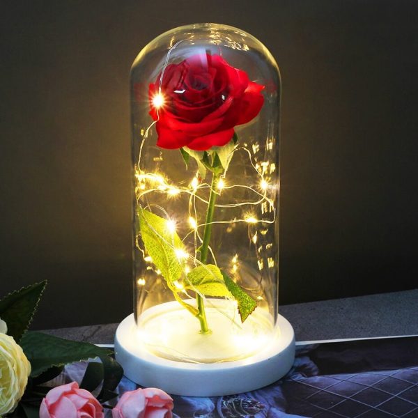 Beauty and The Beast Roses in a Glass Dome - Quymart.com