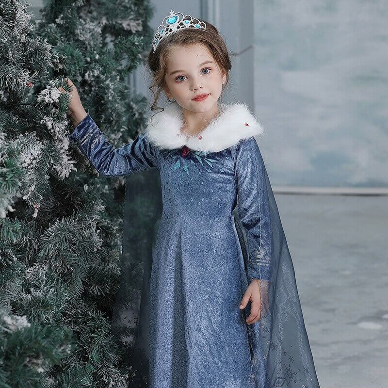 winter elsa costume